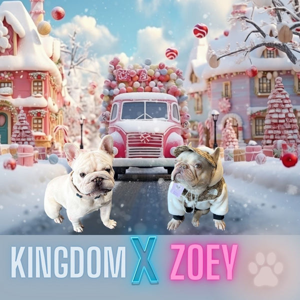 Kingdom X Zoey Litter