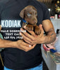 Doberman PUPPIES AVAILABLE